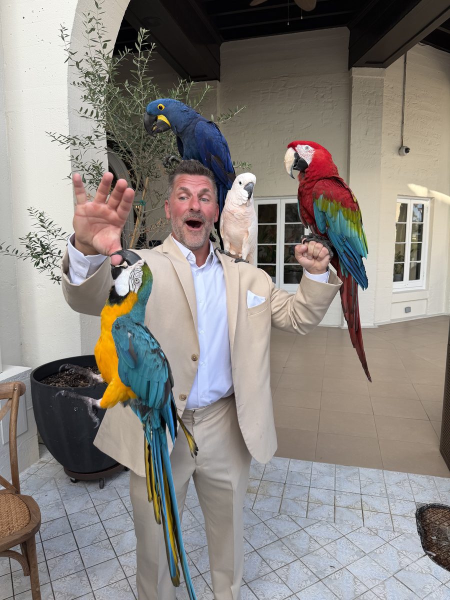 (4) Exotic Birds