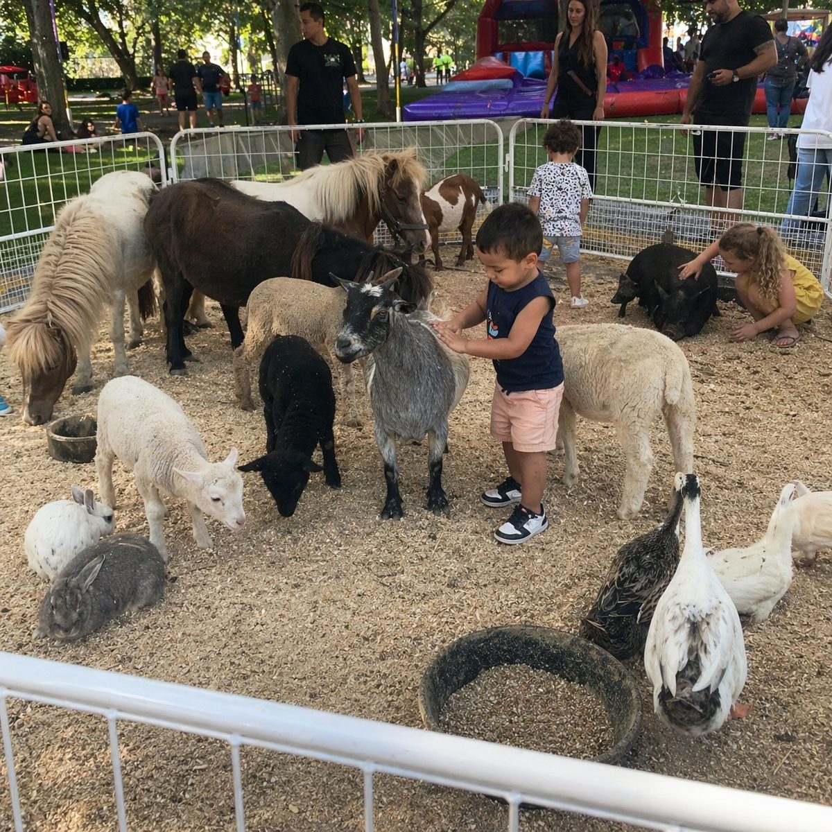 Luxury Petting Zoo