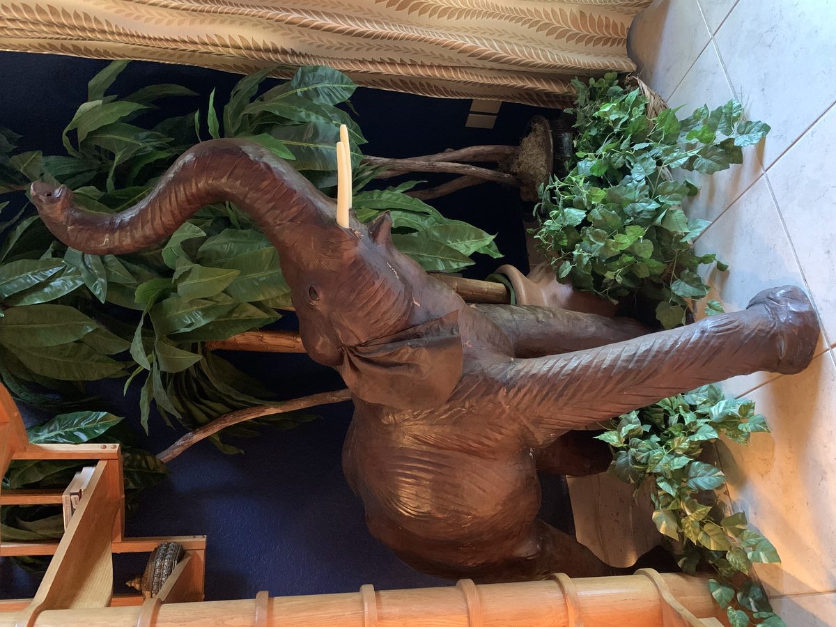 Elephant