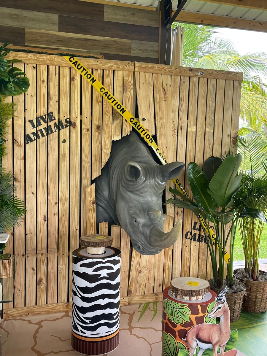 Rhino & Wall